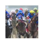 best superfecta bet kentucky derby